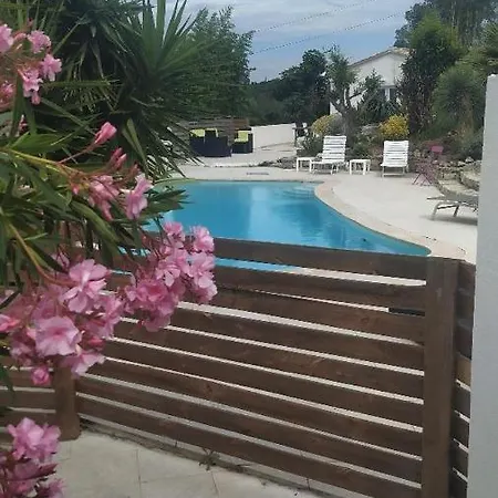 Mimosas - Fréjus