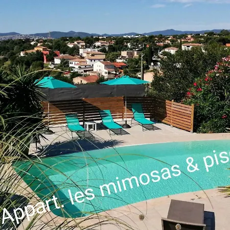 Mimosas -