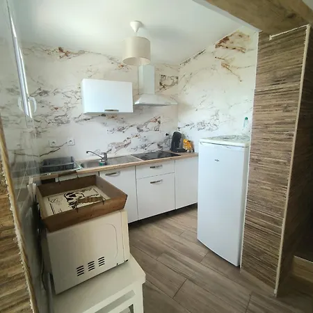 Mimosas - Fréjus